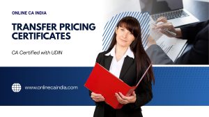 Transfer Pricing