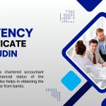 solvency certificate UDIN