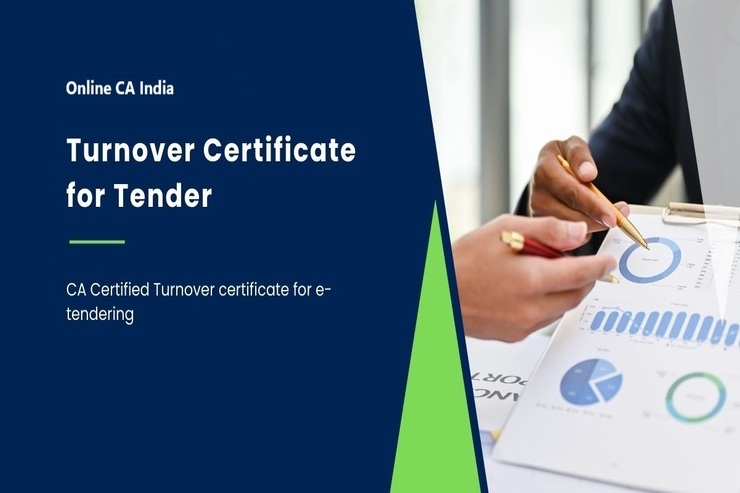 turnover certificate UDIN
