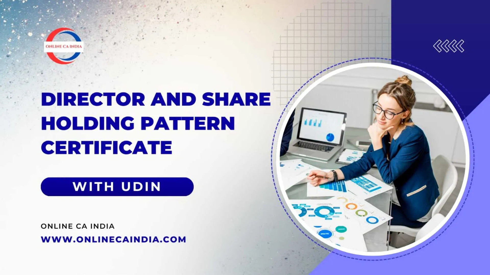 Director and Share Holding Pattern Certificate